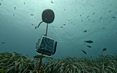 IOS4DOM Scientific Workshop: Bringing Marine Monitoring Technologies Together in Calpe