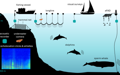 Multi-Platform Deployments of Low-Cost Devices for Cetacean Passive Acoustic Monitoring